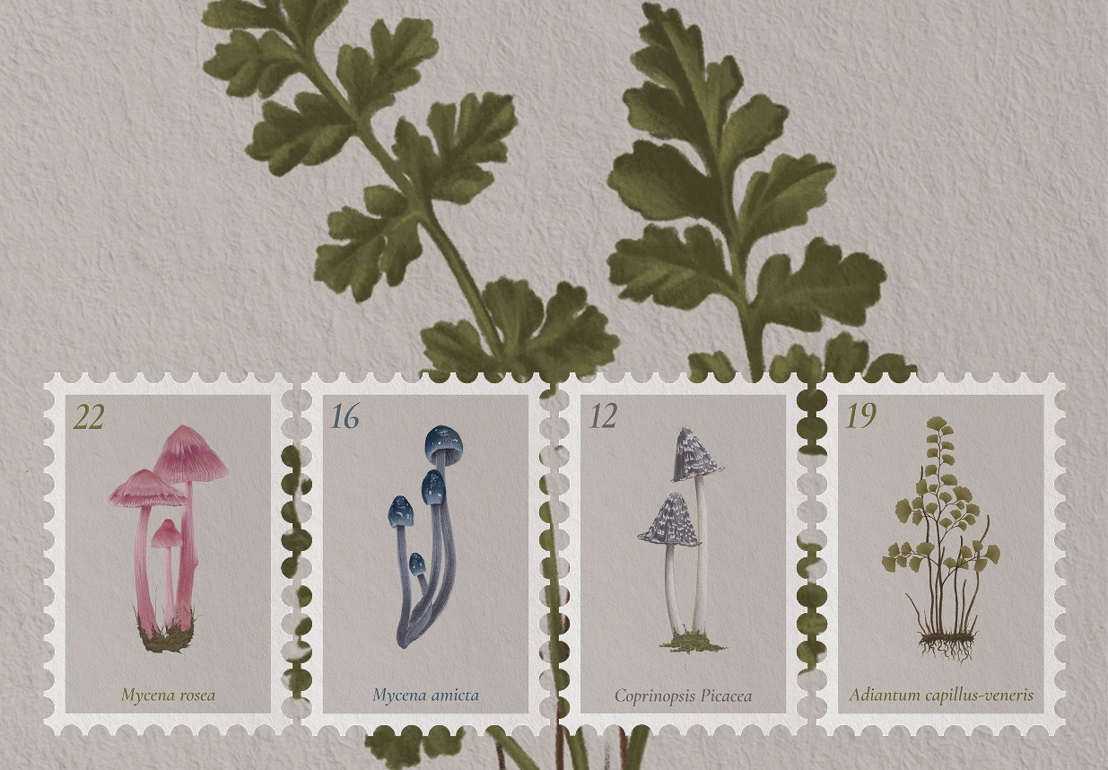 Hand-painted set of stamps made from botanical illustrations by Mohona Rahman featuring ferns and fungi.