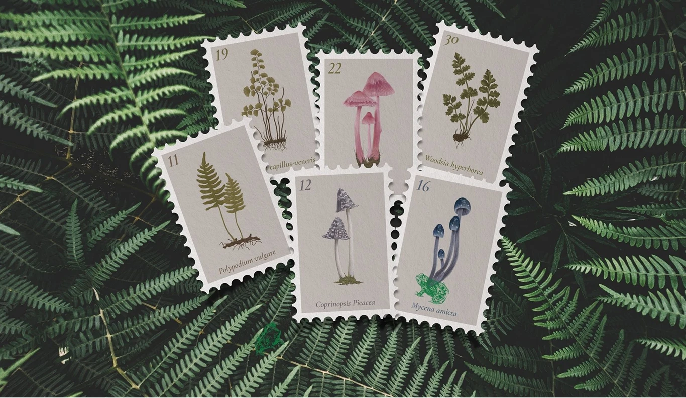Six botanical and mushroom illustration stamps fanned out over a bed of dark fern leaves
